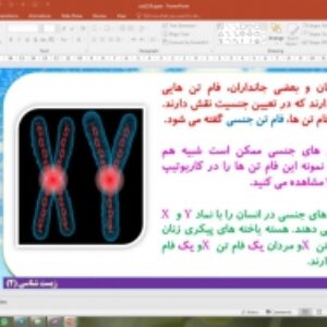 پاورپوینت فصل 6 زیست شناسی یازدهم تجربی: تقسیم یاخته