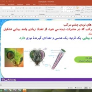 پاورپوینت گفتار 3 زیست شناسی یازدهم تجربی: گیرنده های حسی جانوران (حواس)
