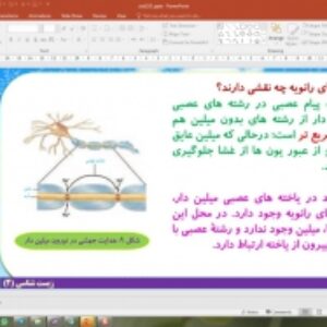 پاورپوینت فصل 1 زیست شناسی یازدهم تجربی: تنظیم عصبی