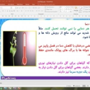پاورپوینت گفتار 1 زیست شناسی یازدهم تجربی: تنظیم کننده های رشد در گیاهان (پاسخ گیاهان به محرک ها)