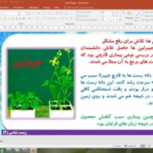 پاورپوینت فصل 9 زیست شناسی یازدهم تجربی: پاسخ گیاهان به محرک ها