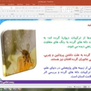 پاورپوینت گفتار 2 زیست شناسی یازدهم تجربی: تولید مثل جنسی (تولید مثل نهان دانگان)