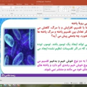 پاورپوینت گفتار 2 زیست شناسی یازدهم تجربی: رشتمان (میتوز) (تقسیم یاخته)