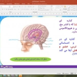 پاورپوینت گفتار 2 زیست شناسی یازدهم تجربی: ساختار دستگاه عصبی (تنظیم عصبی)