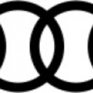 پاورپوینت کامل و جامع با عنوان بررسی شرکت آئودی (Audi) در 41 اسلاید