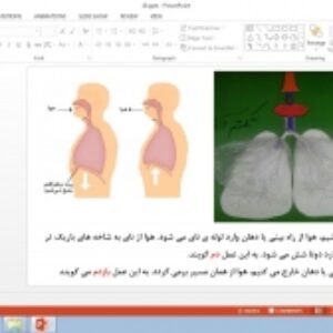 پاورپوینت درس 10 علوم تجربی پایه چهارم دبستان (ابتدایی): بدن ما (2)