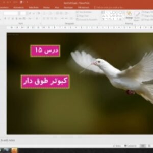 پاورپوینت درس 15 فارسی پایه یازدهم: کبوتر طوق دار