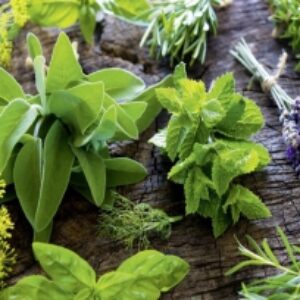 بررسی گیاهان دارویی