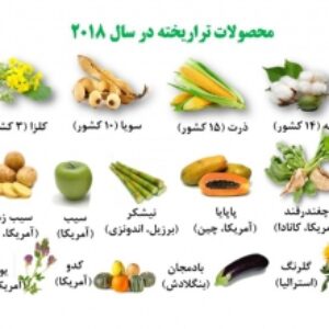 تولید پایدار گیاهان تراریخته (30 اسلاید)