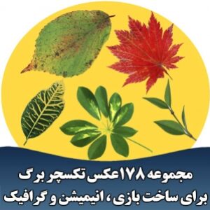 مجموعه 178 عکس تکسچر برگ برای ساخت بازی ، انیمیشن و گرافیک