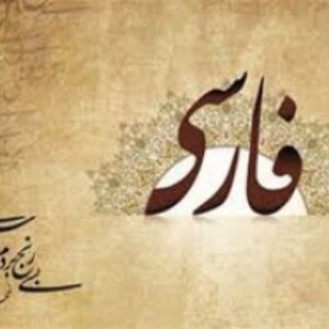 تحقیق درباره وحشی بافقی