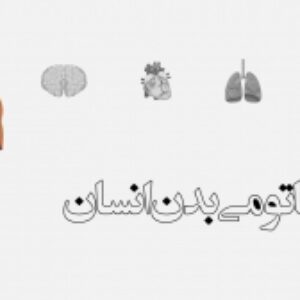 قالب پاورپوینت قابل ویرایش ذره بین