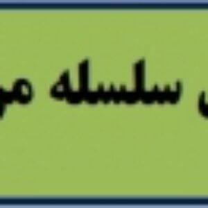 فرایند تحلیل سلسله مراتبی AHP