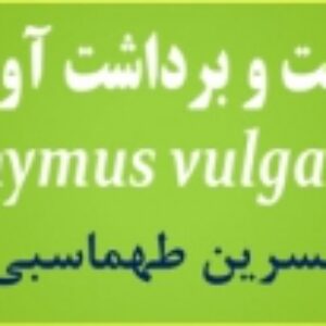 پاورپواینت کاشت، داشت و برداشت آویشن باغی(Thymus vulgaris)