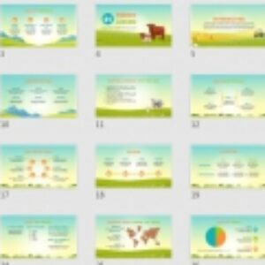 پاورپوینت اینفوگرافیک  ارائه  آموزشی