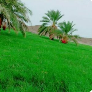 پاورپوینت بازی بومی محلی سیستان و بلوچستان