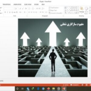 دانلود پاورپوینت مفهوم سازگاری شغلی