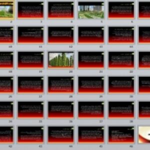 پاورپوینت بررسی کشتزارهای عمودی کشاورزی شهری - 47 اسلاید
