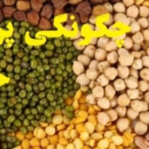 چگونگی پرورش حبوبات
