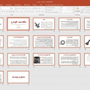 پاورپوینت سگدست