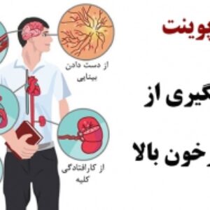 پاورپوینت پیشگیری از فشار خون بالا