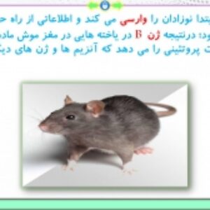 پاورپوینت گفتار 1 زیست شناسی پایه دوازدهم تجربی: اساس رفتار (فصل 8: رفتار های جانوران) ( 48 اسلاید)
