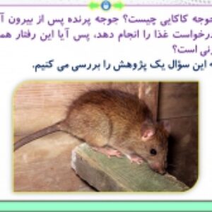 پاورپوینت فصل 8 زیست شناسی پایه دوازدهم تجربی: رفتارهای جانوران  ( 118 اسلاید)
