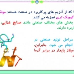 پاورپوینت گفتار 2 زیست شناسی پایه دوازدهم تجربی: فناوری مهندسی پروتئین و بافت  (فصل 7: فناوری‌های نوین زیستی) ( 24 اسلاید)