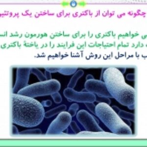 پاورپوینت گفتار 1 زیست شناسی پایه دوازدهم تجربی: زیست فناوری و مهندسی ژنتیک  (فصل 7: فناوری‌های نوین زیستی) ( 46 اسلاید)