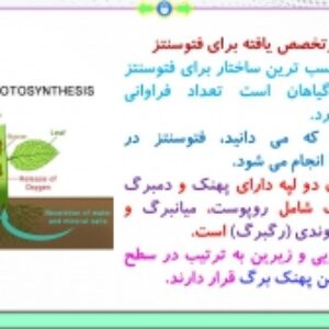 پاورپوینت گفتار 1 زیست شناسی پایه دوازدهم تجربی: فتوسنتزتبدیل انرژی نور به انرژی شیمیایی (فصل 6: از انرژی به ماده) ( 29 اسلاید)