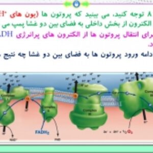 پاورپوینت گفتار 2 زیست شناسی پایه دوازدهم تجربی: اکسایش بیشتر (فصل 5: از ماده به انرژی) ( 34 اسلاید)