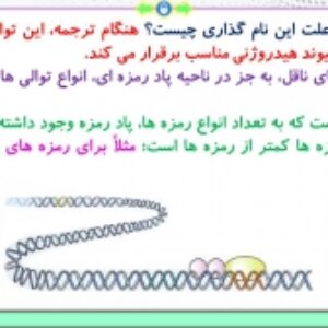 پاورپوینت گفتار 2 زیست شناسی پایه دوازدهم تجربی: به سوی پروتئین (فصل 2: جریان اطلاعات در یاخته) ( 34 اسلاید)