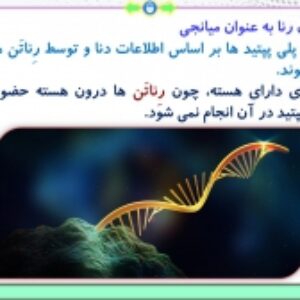 پاورپوینت گفتار 1 زیست شناسی پایه دوازدهم تجربی: رونویسی (فصل 2: جریان اطلاعات در یاخته) ( 39 اسلاید)