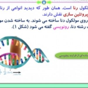 پاورپوینت فصل 2 زیست شناسی پایه دوازدهم تجربی: جریان اطلاعات در یاخته  ( 104 اسلاید)