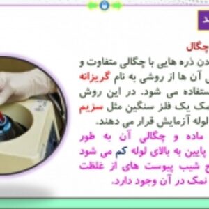 پاورپوینت گفتار 2 زیست شناسی پایه دوازدهم تجربی: همانند سازی دِنا (فصل 1: مولکول های اطلاعاتی) ( 35 اسلاید)