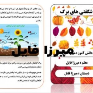 دانلود بروشور 4 تیکه ی شگفتی های برگ برای درس یازدهم علوم ششم