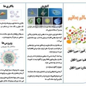 دانلود بروشور درس سیزدهم علوم ششم سالم بمانیم اماده و قابل ویرایش