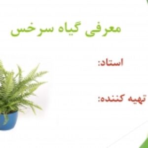 پاورپوینت گیاه سرخس