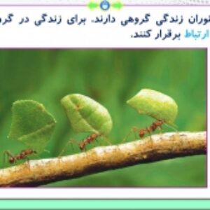 پاورپوینت گفتار 3 زیست شناسی پایه دوازدهم تجربی: ارتباط و زندگی گروهی (فصل 8: رفتار های جانوران) ( 27 اسلاید)
