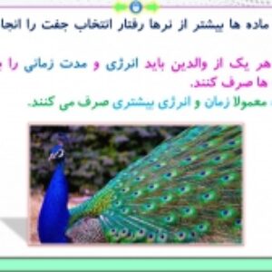 پاورپوینت گفتار 2 زیست شناسی پایه دوازدهم تجربی: انتخاب طبیعی و رفتار (فصل 8: رفتار های جانوران) ( 49 اسلاید)