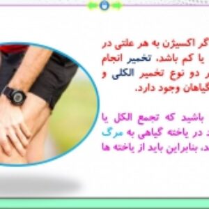 پاورپوینت گفتار 3 زیست شناسی پایه دوازدهم تجربی: زیستن مستقل از اکسیژن (فصل 5: از ماده به انرژی) ( 29 اسلاید)