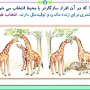 پاورپوینت گفتار 2 زیست شناسی پایه دوازدهم تجربی: تغییر در جمعیت‌ها (فصل 4: تغییر در اطلاعات وراثتی) ( 37 اسلاید)