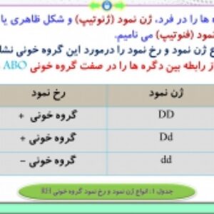 پاورپوینت فصل 3 زیست شناسی پایه دوازدهم تجربی: انتقال اطلاعات در نسل‌ها  ( 54 اسلاید)