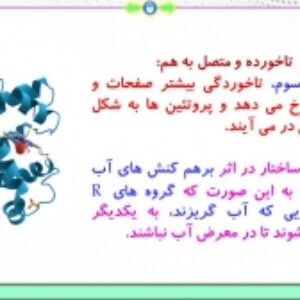 پاورپوینت گفتار 3 زیست شناسی پایه دوازدهم تجربی: پروتئین‌ها (فصل 1: مولکول های اطلاعاتی) ( 43 اسلاید)