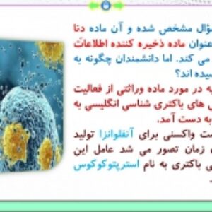 پاورپوینت فصل 1 زیست شناسی پایه دوازدهم تجربی: مولکول‌های اطلاعاتی  ( 128 اسلاید)