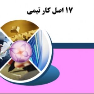 17 اصل کار تيمي