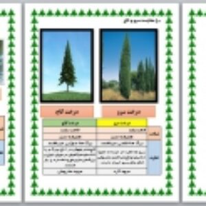 پاسخ فعالیت صفحه 128 علوم نهم