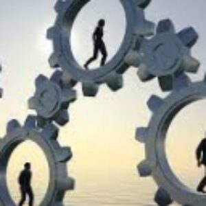 Organizational Behavior Management . مدیریت رفتار سازمانی ( گروه مدیریت )