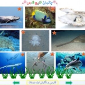 پاورپوینت درس 17 فارسی و نگارش پایه اول دبستان (ابتدائی): « صدایِ موج » نشانه ی « صـ ص » (با هم بخوانیم: دریا)