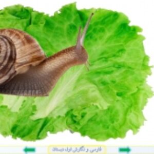 پاورپوینت درس 19 فارسی و نگارش پایه اول دبستان (ابتدائی): « حَلَزون » نشانه ی « حـ ح »